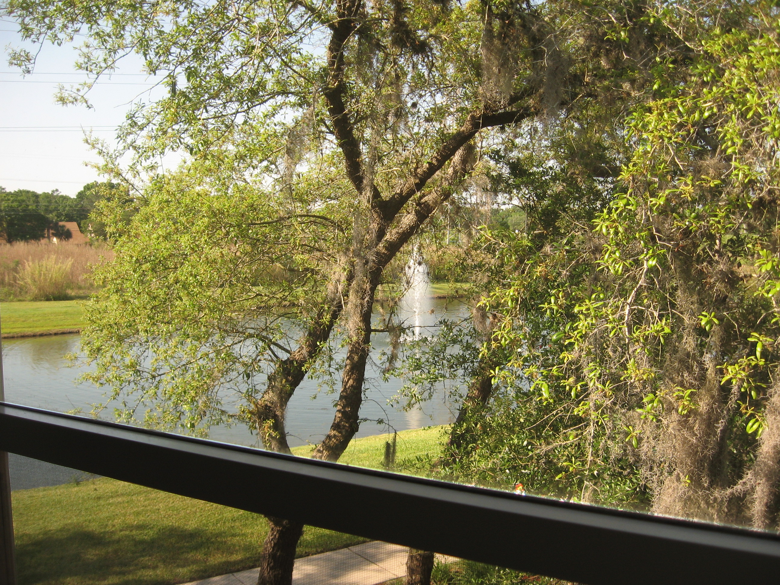 Master bedroom view to lake