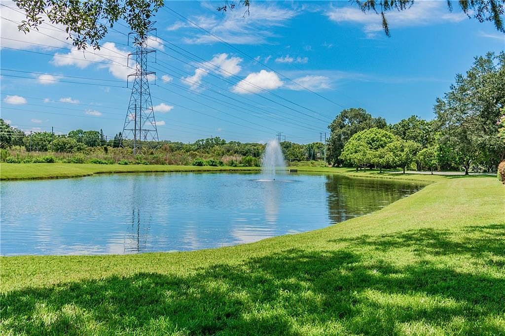Pond