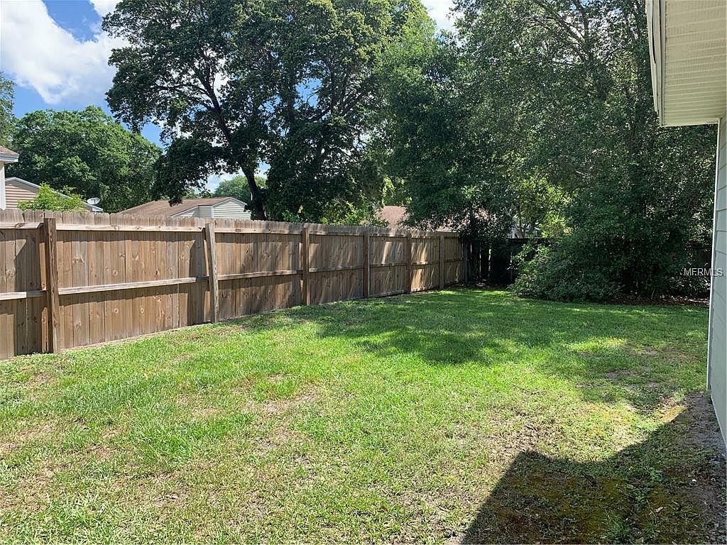 Backyard view 3